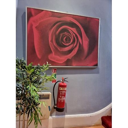 F301-Awesome 3Rd Flr Studio Fits 1 Near Hyde Park Λονδίνο Εξωτερικό φωτογραφία
