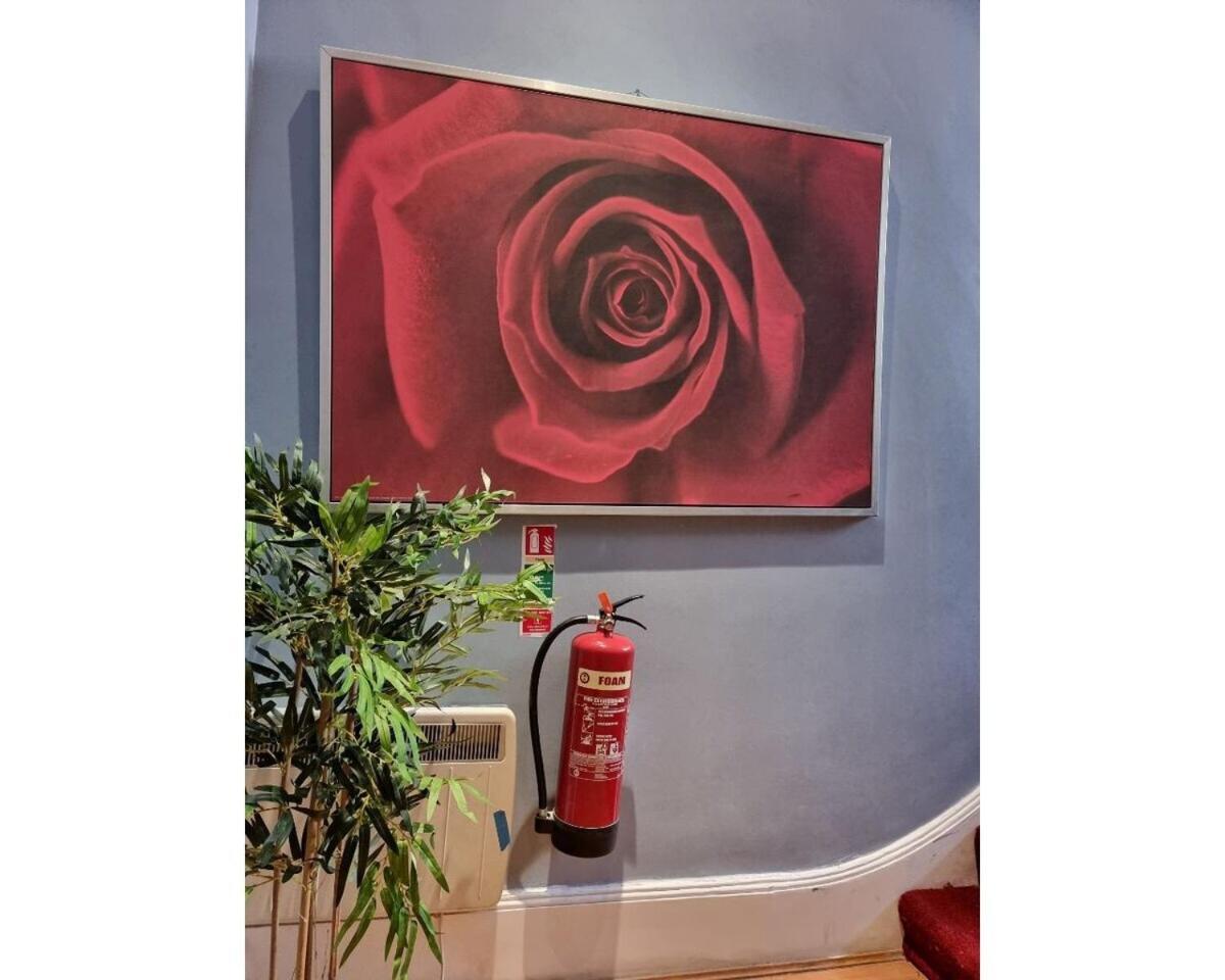 F301-Awesome 3Rd Flr Studio Fits 1 Near Hyde Park Λονδίνο Εξωτερικό φωτογραφία